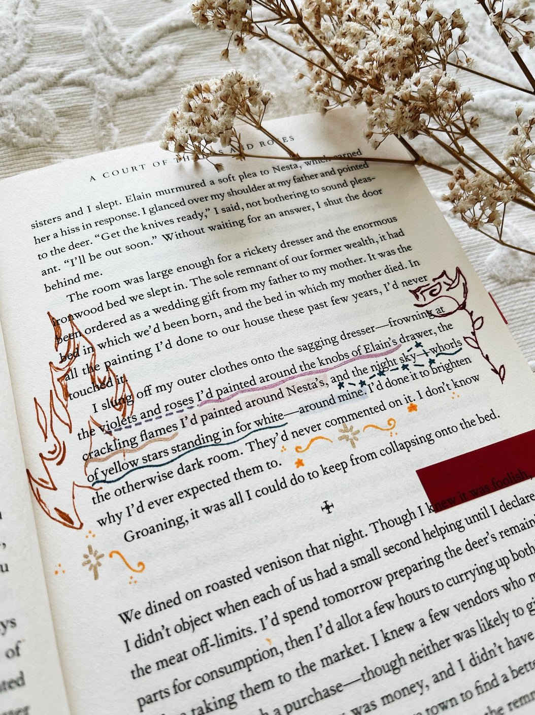 annotated copies of a court of thorns and roses & a court of mist and fury