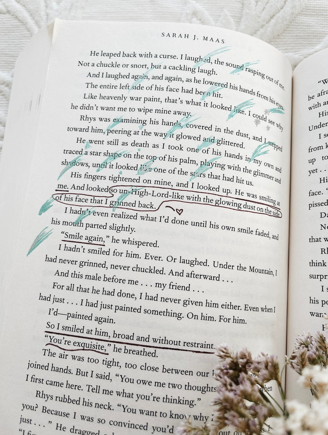 annotated copies of a court of thorns and roses & a court of mist and fury