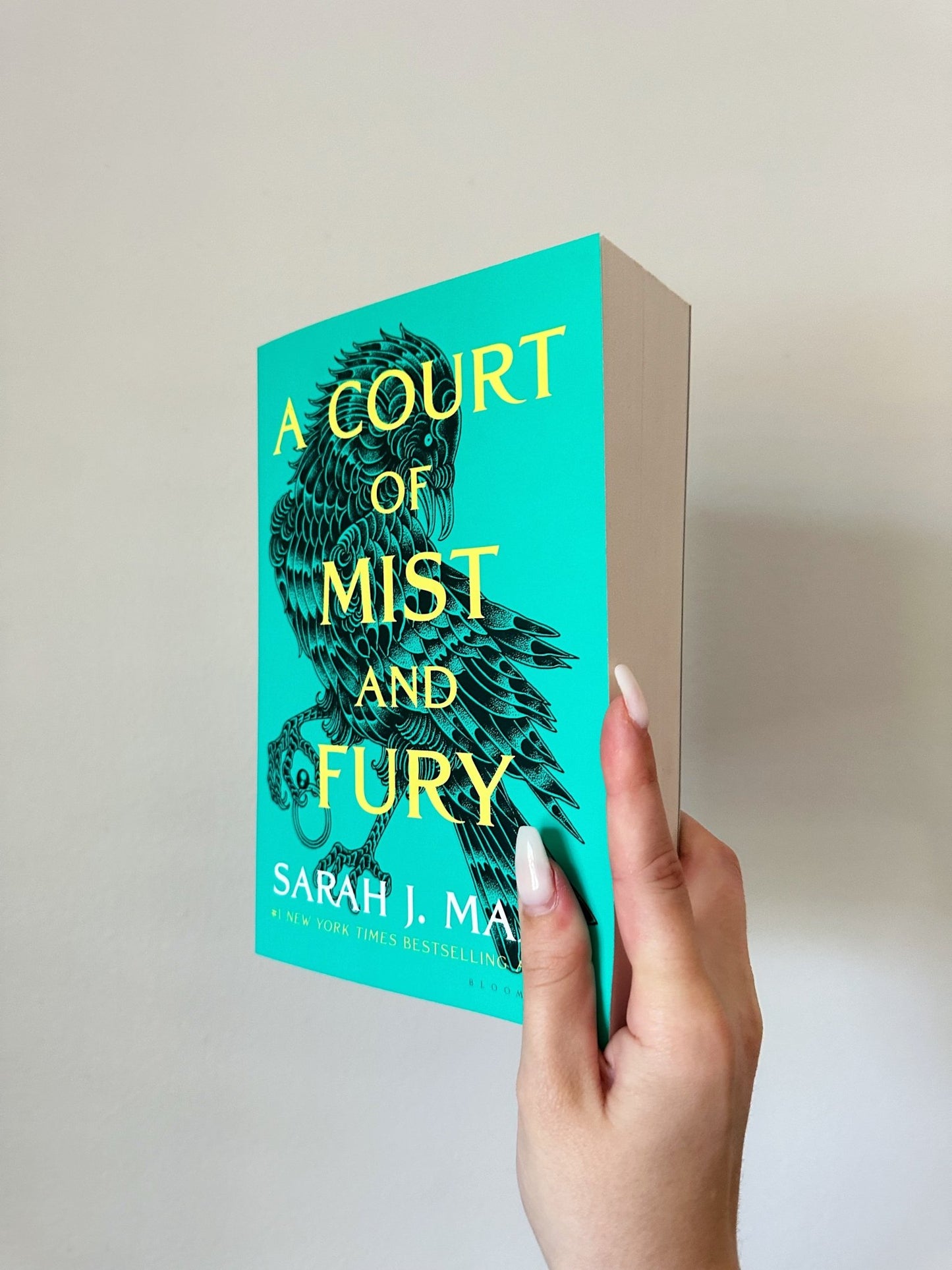 annotated copy of a court of mist and fury