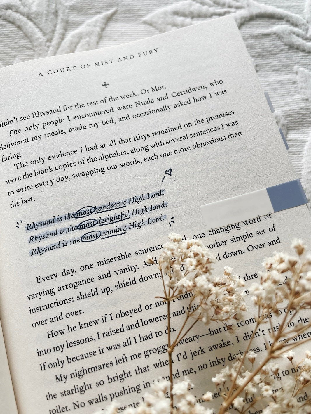 annotated copy of a court of mist and fury