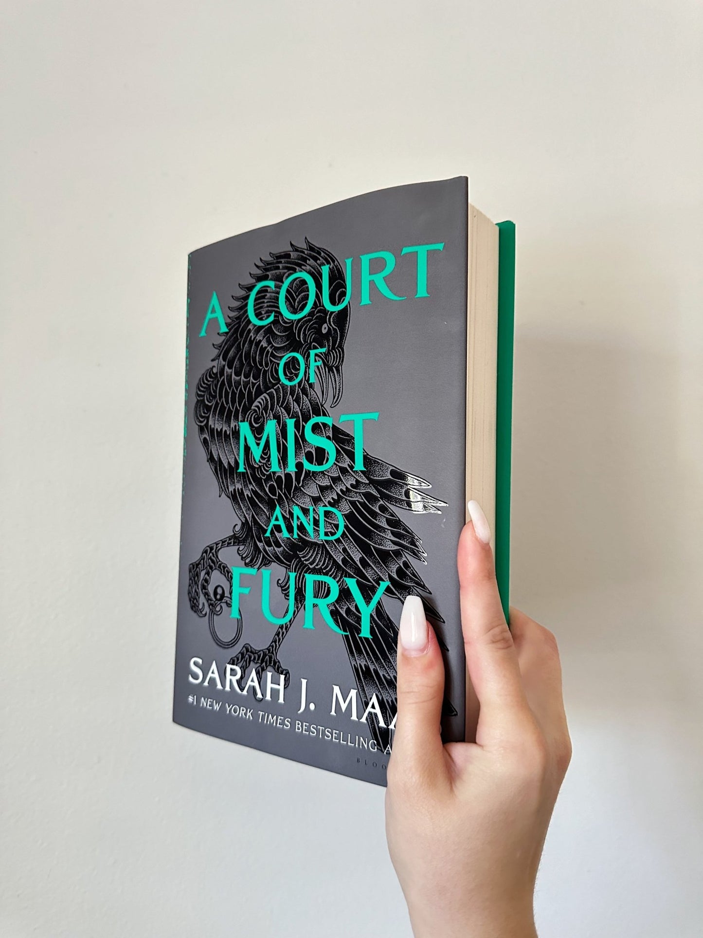 annotated copy of a court of mist and fury