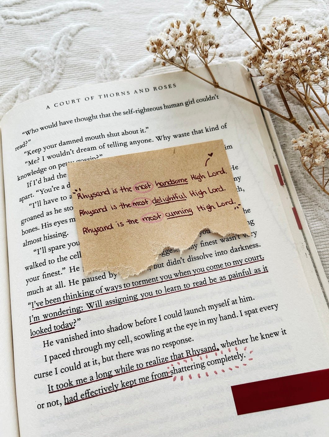 annotated copy of a court of thorns and roses