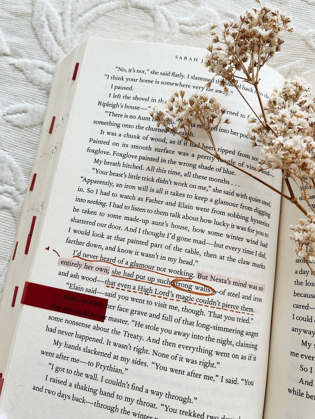 annotated copy of a court of thorns and roses