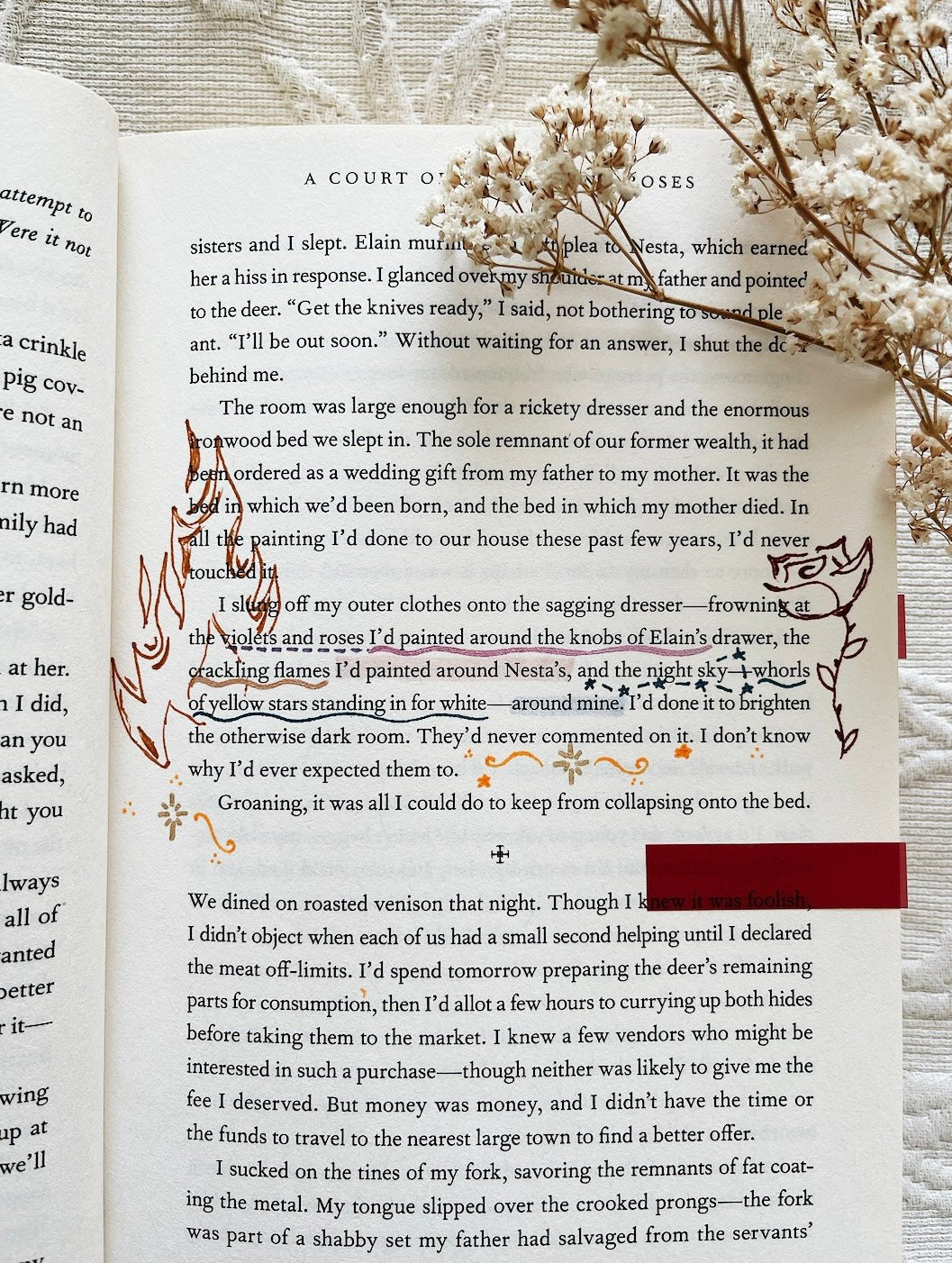 annotated copy of a court of thorns and roses