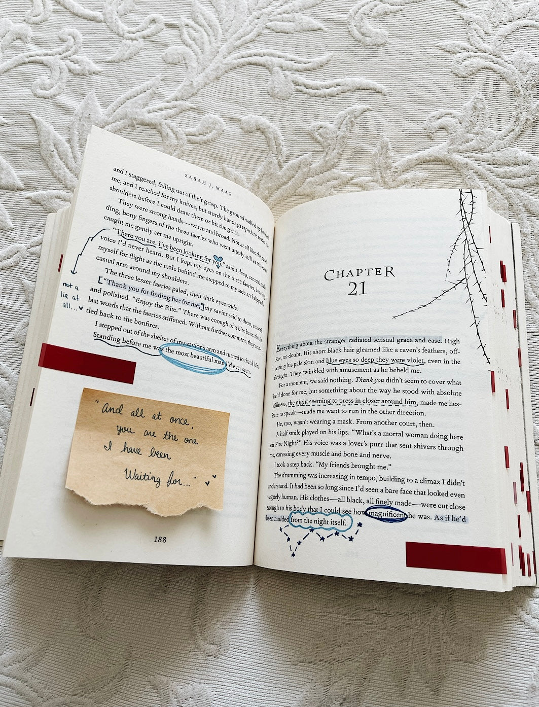 annotated copy of a court of thorns and roses