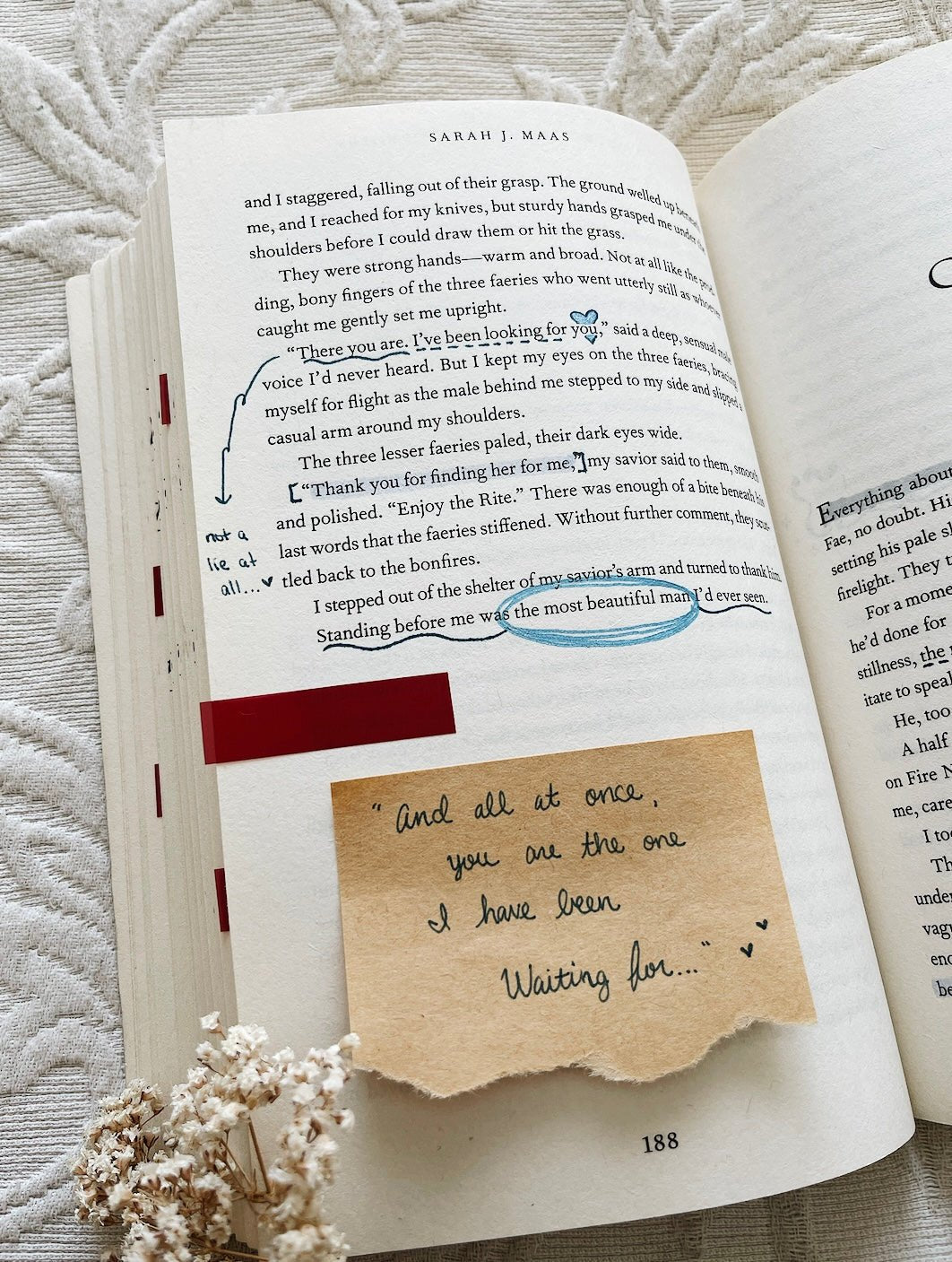 annotated copy of a court of thorns and roses