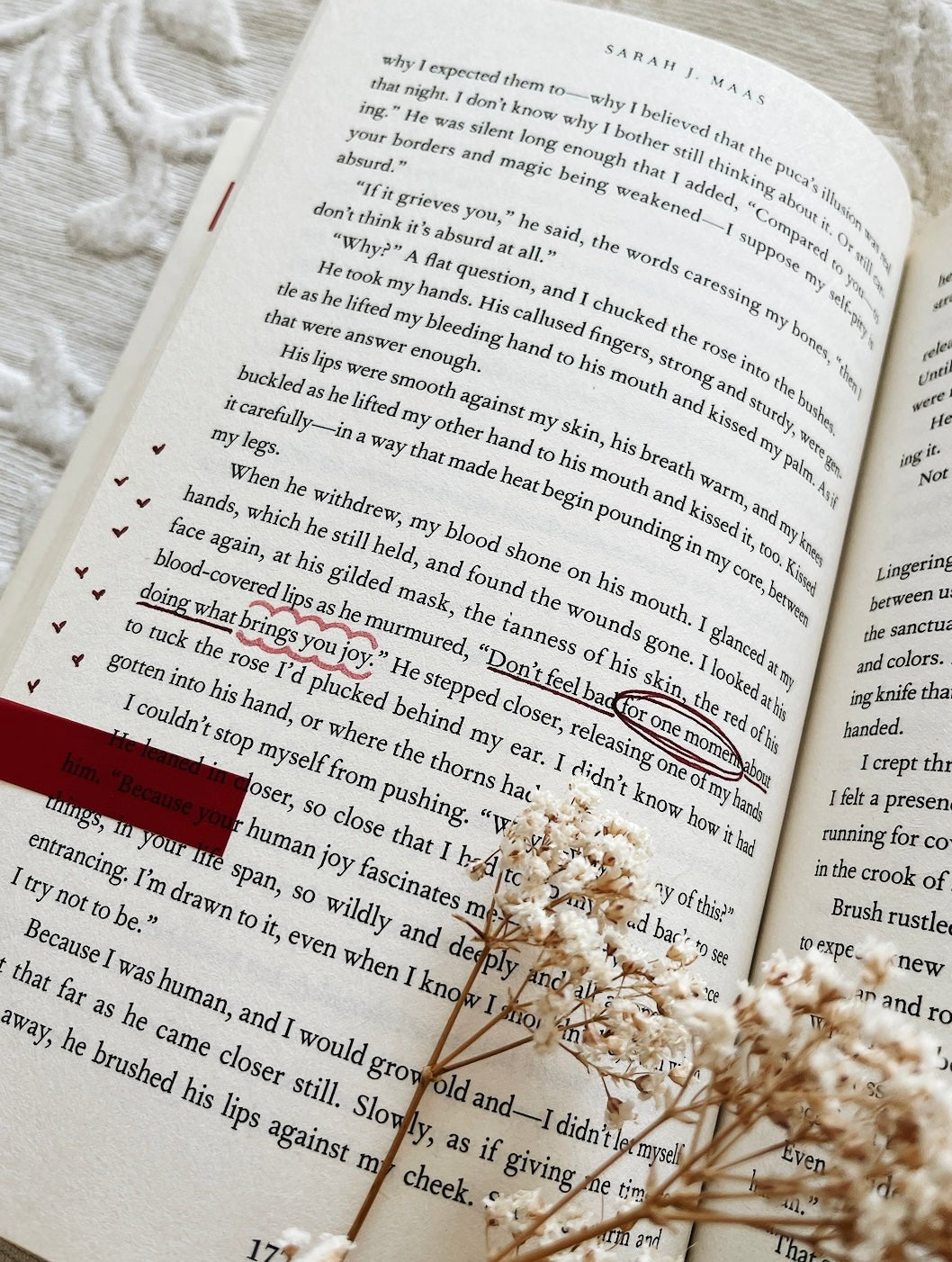 annotated copy of a court of thorns and roses