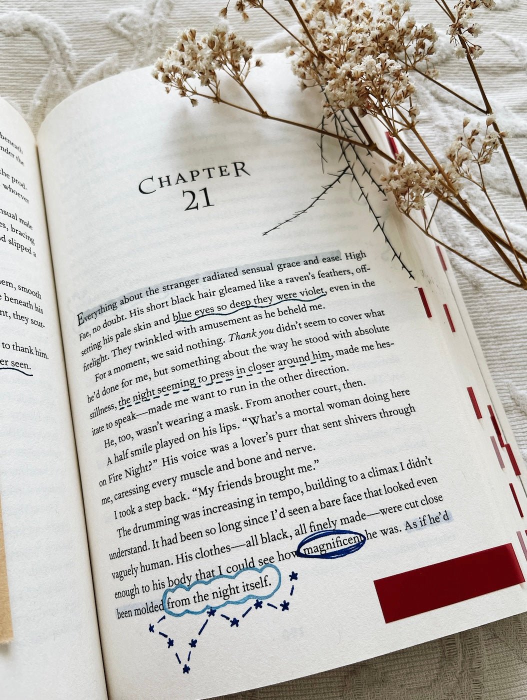 annotated copy of a court of thorns and roses