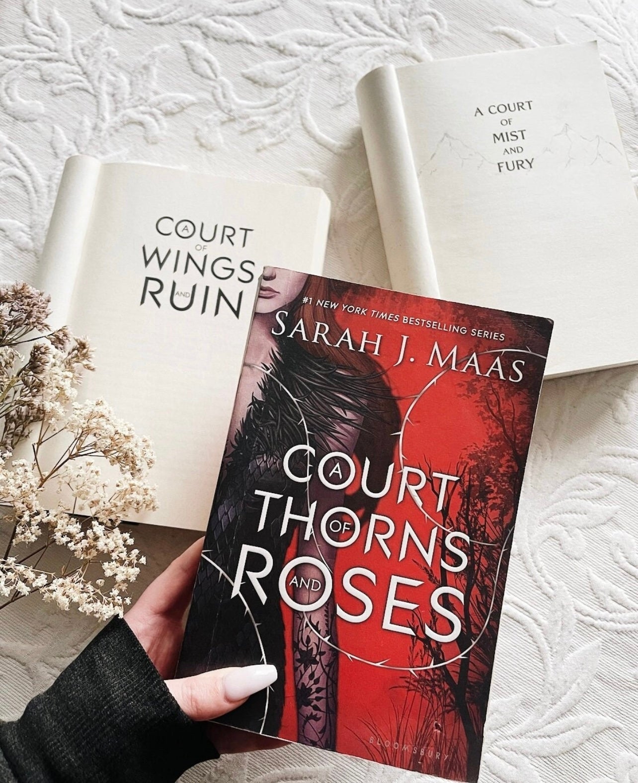 annotated copy of a court of thorns and roses