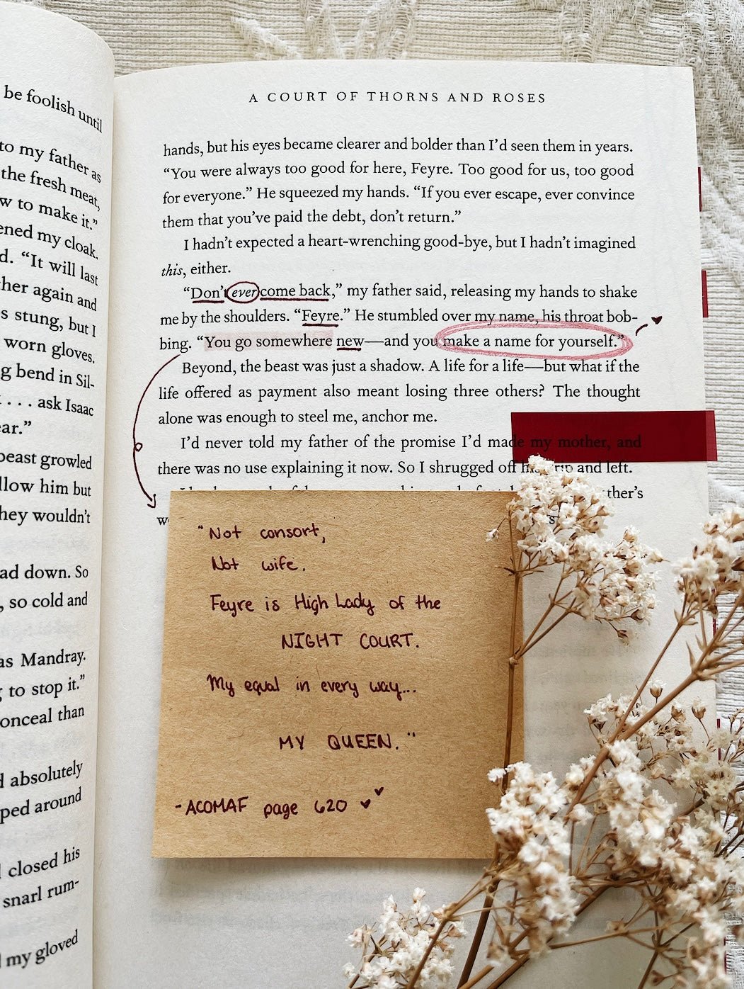 annotated copy of a court of thorns and roses