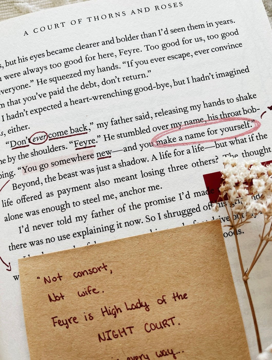 annotated copy of a court of thorns and roses